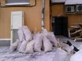 Вывоз строительного мусора т 464221